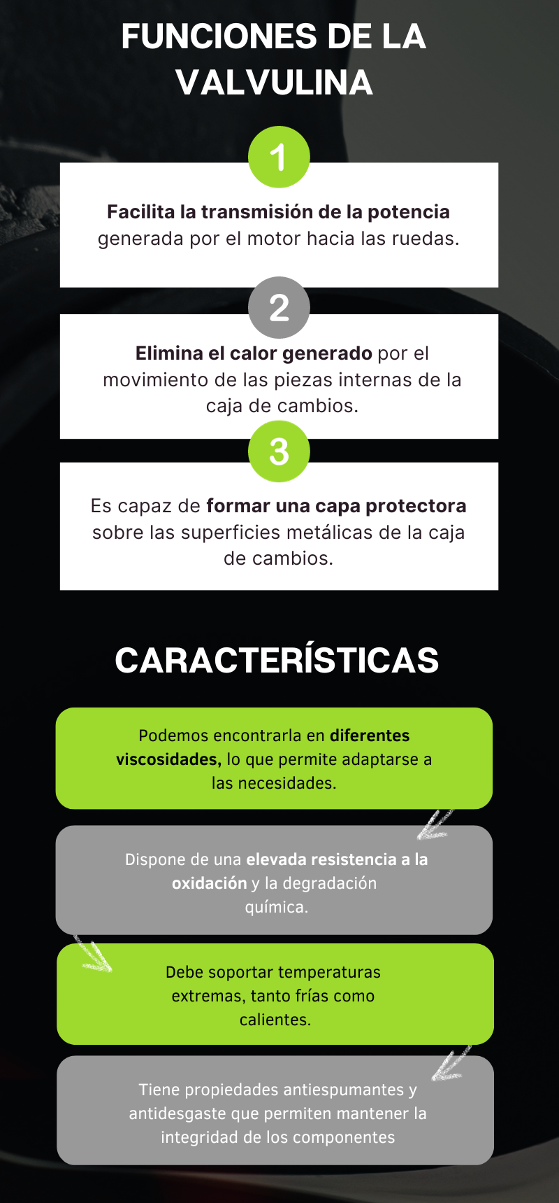 Funciones y características de la valvulina Funciones y características de la valvulina
